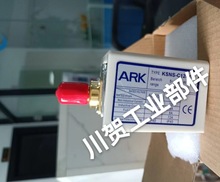 ARK_PTYPE KSNS-C120XC 5-20BAR 73-290PSIG AC 125V/250V