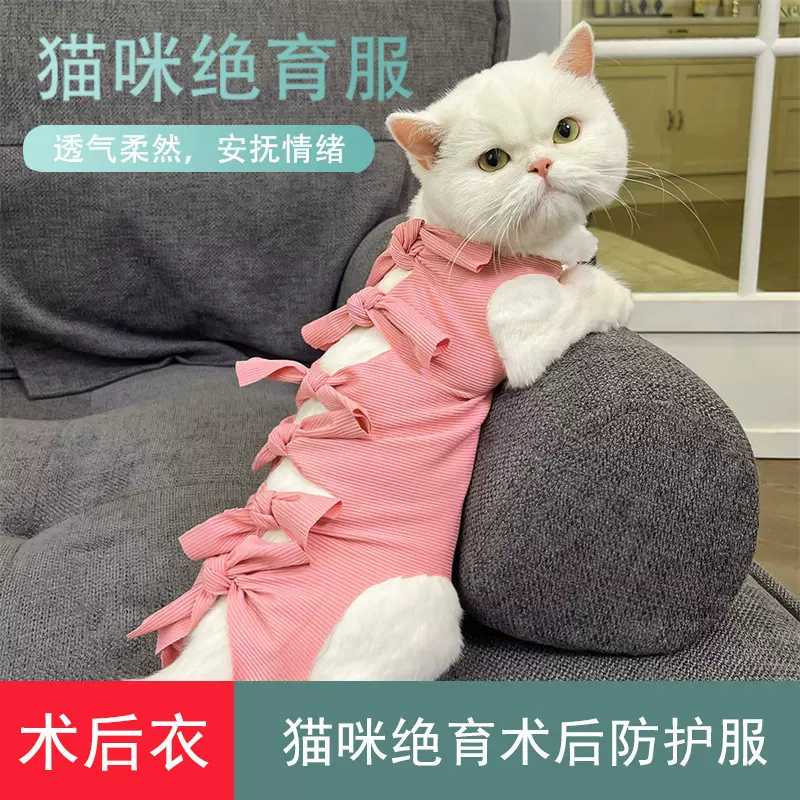 猫咪绝育服母猫断奶服宠物术后防舔衣服母狗猫公猫绑带猫猫手术服
