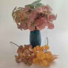 �S�����l�����O���~���滨�@�ּҾ�ܛ�b�ٻ�����Gֲ�~���ȼ���