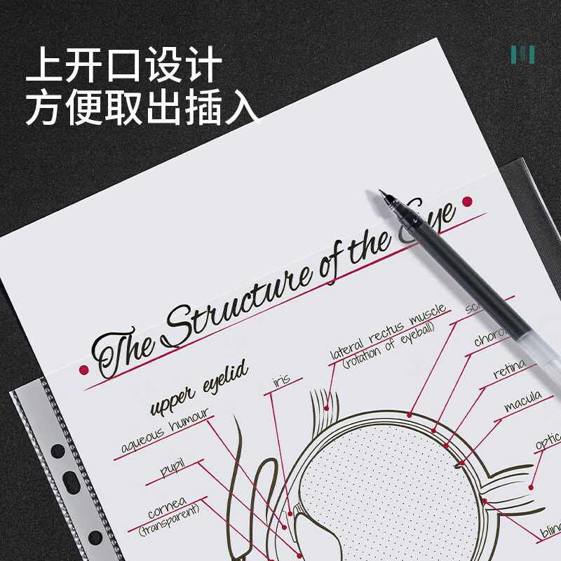 Bolsas transparentes para documentos Deli, bolsas para archivos, bolsas para páginas interiores, bolsas para mensajería, bolsas con 11 orificios para encuadernación, bolsas de protección para documentos.