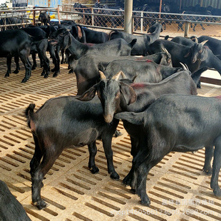 �s����ɽ��r�� Ŭ�ȁ���ɽ�� ��ɽ���Bֳ��ɽ��������l��r