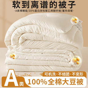 New Type a Cotton Soybean Quilt 100% Pure Cotton Spring & Fall Quilt Thickeneded Winter Quilt Household Dormitory Cotton Quilt Quick-Drying