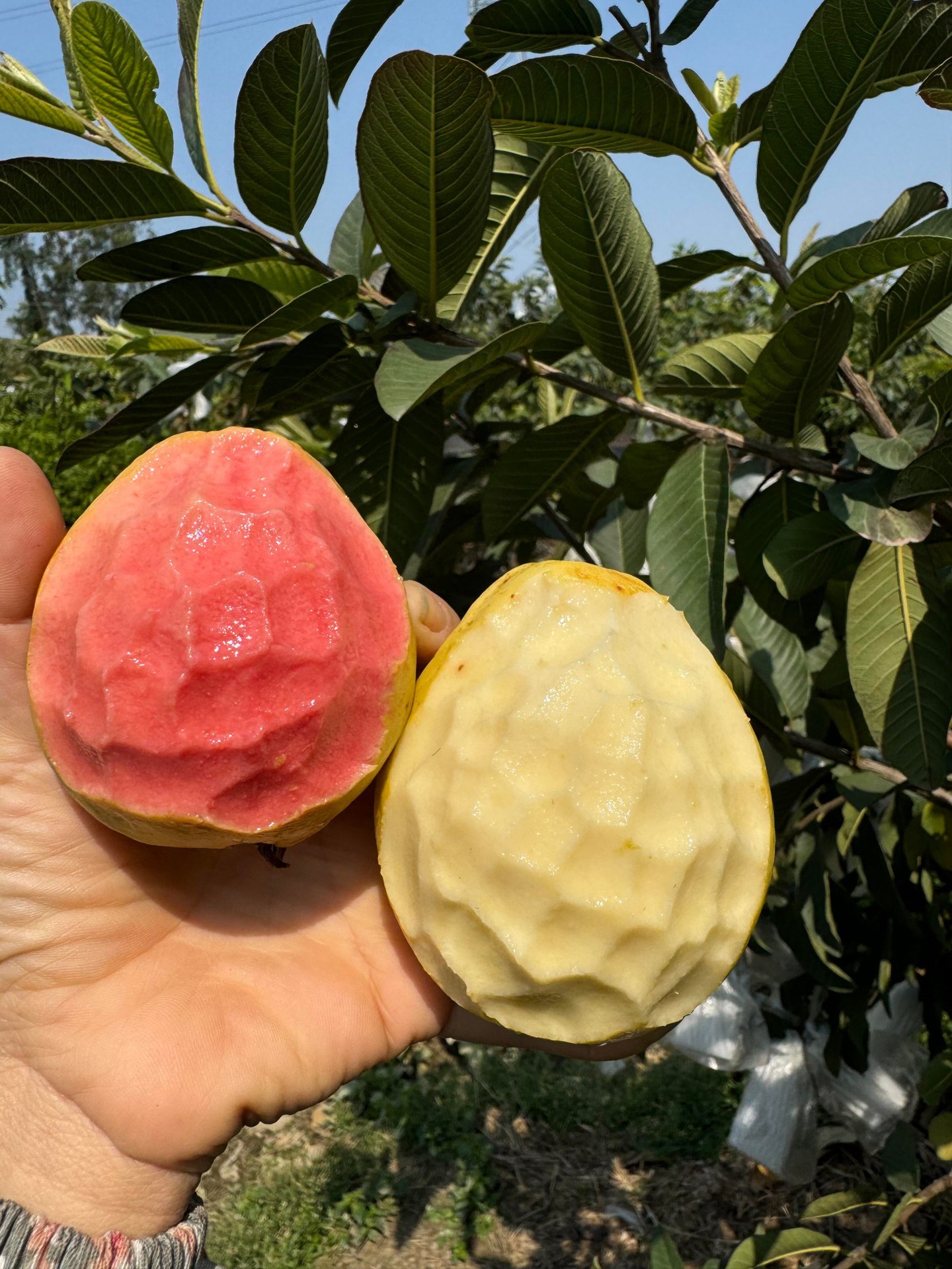 微信图片_20251119212842_279_10