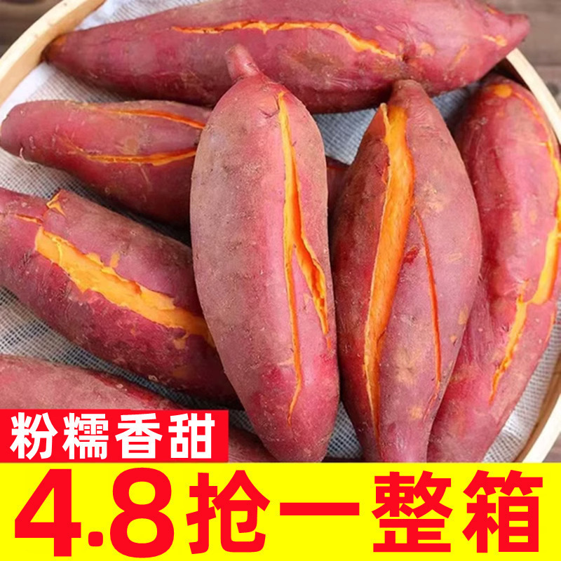 新鲜蜜薯10斤红薯现挖板栗烤地瓜糖心番薯沙地农家自种山芋小香薯