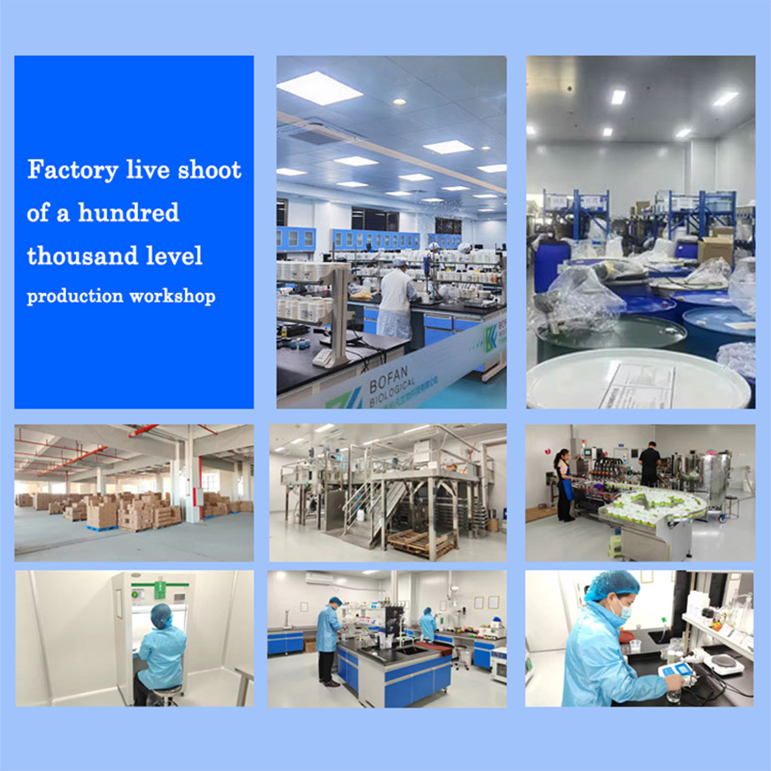 Exportación de comercio exterior Olive OIL Olive cera sólida para el cabello modelado de larga duración modelado modelado cera para el cabello al por mayor