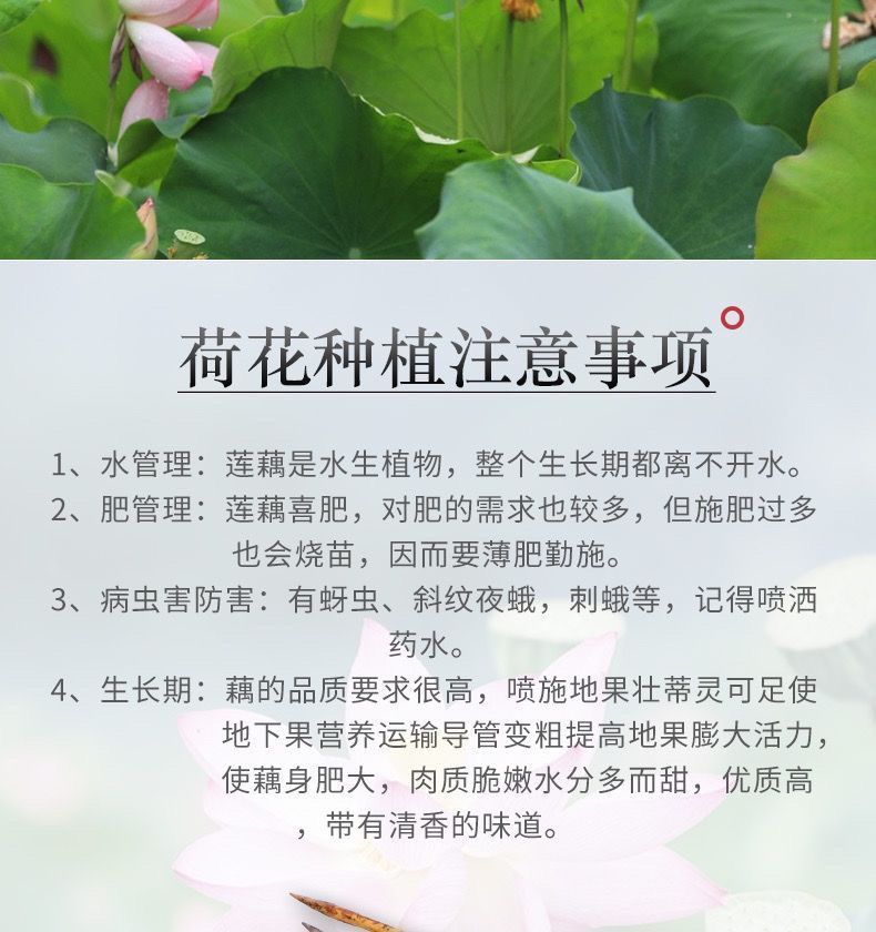 8caa5958-c464-4174-9506-f55c8cc77872.jpe