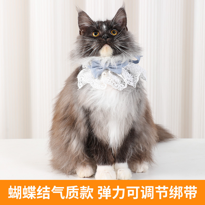 Gato bufón collar de joyas mascotas bufón arco muñeca corbata de encaje bufón collar toalla de saliva perro