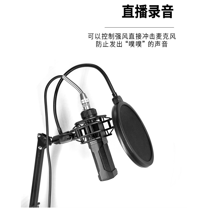 Manufacturer's direct sales anti-spray cover live microphone windscreen double-layer condenser microphone host recording studio microphone windscreen net