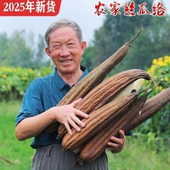 2025 新着農家ヘチマ卸売ヘチマパルプ食器洗い 40 センチメートル以上ロングヘチマ丸ごとブラシポットとバス