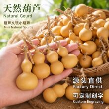聊城葫芦批发处理4-6cm手捻小葫芦文玩葫芦皮色好含异形随机发货