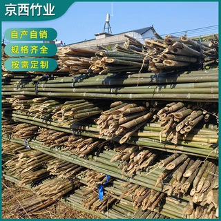 定制户外菜园搭架爬藤细竹子黄瓜豆角辣椒冬瓜支撑杆种植支架竹竿