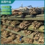 定制种植户外冬瓜竹子