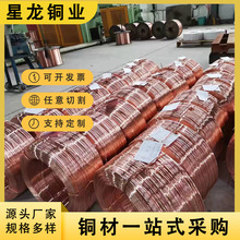 F؛T2~z~ ֹ˻ܛB~z C1100at~~