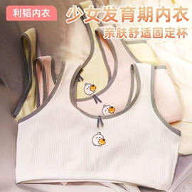 女士背心;少女文胸;裹胸、抹胸