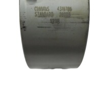 4319792X���S�߬F؛ �m����������˹M11�l�әC������S���S�߹���