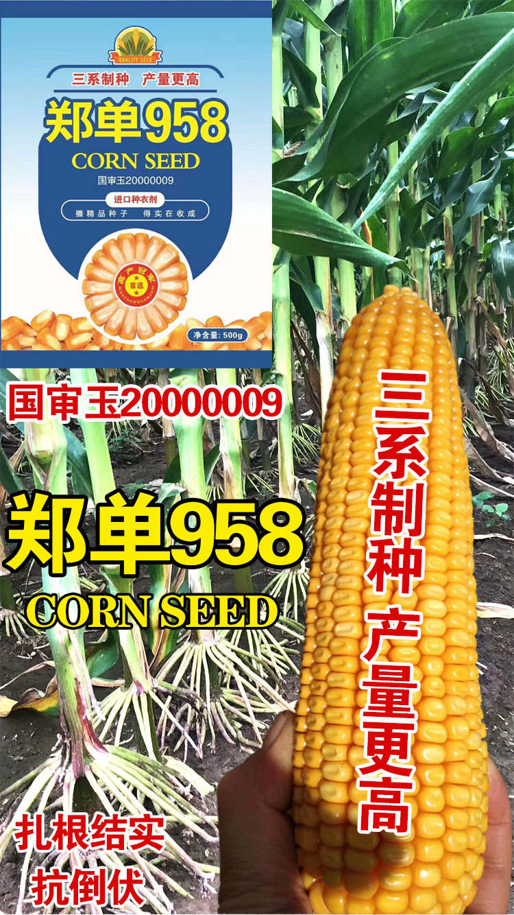 958