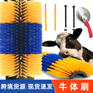 �羳����ţ�wˢ�R�wˢԴ�^���S�����ϰWֹ�Wˢ��ţ��Ħ�坍ˢëˢ