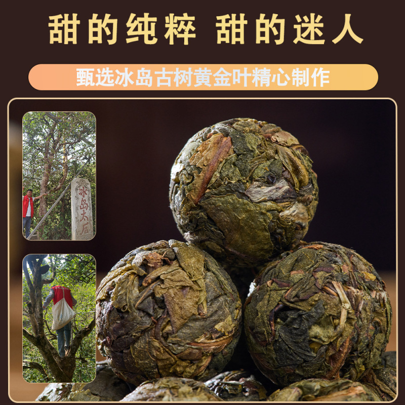卸売 2025 純粋なアイスランド古代樹純粋なプーアル茶生茶アイランドドラゴンビーズ氷砂糖甘い黄金葉雲南ドラゴンビーズ茶|undefined