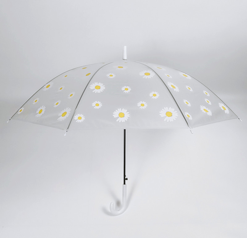 IMG_20220219_194957_mh16474338