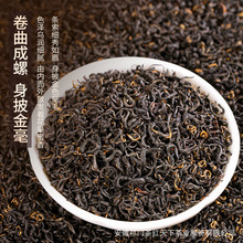 【红茶10g样品专拍】茶红天下祁门红茶祁红毛峰