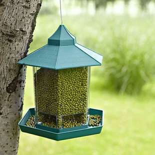 Bird Feeder Hanging Outdoor Bird Feeder Cross-border Amazon Creative Bird Cage Automatic Waterproof Hummingbird Feeding