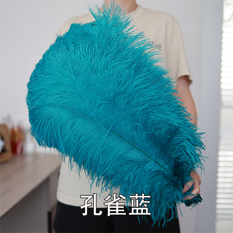 55 - 60cm plumas de avestruz de Sudáfrica al por mayor accesorios de ropa DIY accesorios materiales accesorios de diseño de boda lana de avestruz
