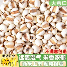 �F�ݴ�޲����������޲������s�ZŴ��޲�������С����򶹝{����