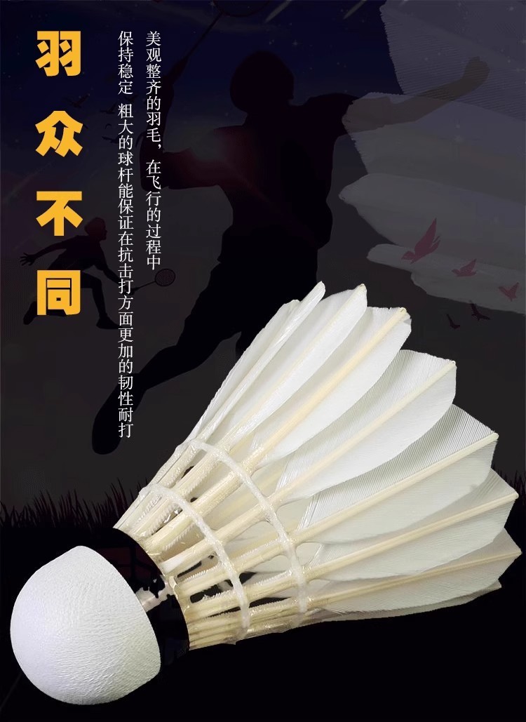 d5d1047d-2440-482a-b5a5-9fbbd6e5c3a1.jpe