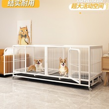 \СȮд͌ﷱֳ؈\ӹڼÎĸ\