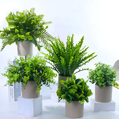 模擬花、造花、模擬盆栽、模擬小さな鉢植え、模擬緑植物、リビングルーム、オフィス、玄関、ワインキャビネットの装飾