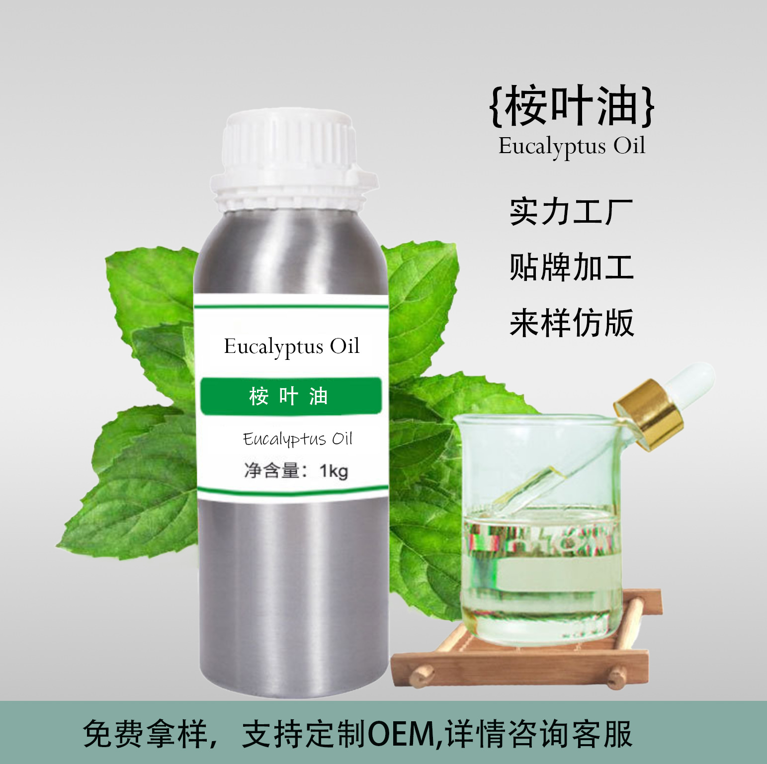 桉叶油食品级Eucalyptus oil油溶水溶可选防蚊呼吸