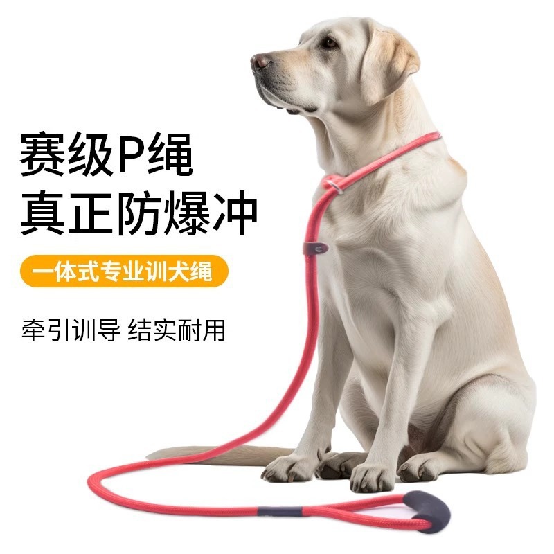 P cuerda p cadena para pasear perros cuerda cuerda para perros cadena a prueba de explosiones perro pequeño, mediano y grande perro pequeño salir a pasear perro artefacto cuerda de tracción para perros