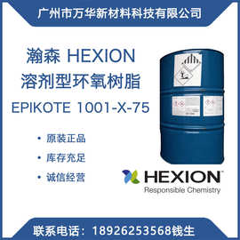 环氧树脂EPIKOTE 1001-X-75 瀚森HEXION溶剂型WestlakeEpoxy