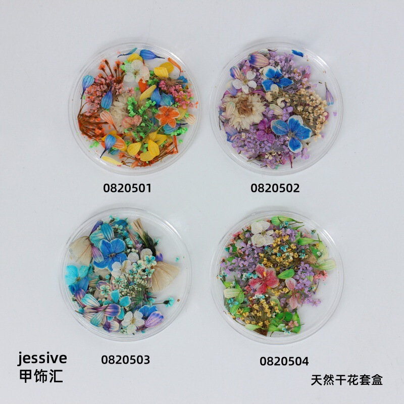 Japanese-Style Ins Garden Oil Painting Series Nail Art Natural Dried Flowers DIY Small Plum Blossom Tulip Petals Cross-Border E-Commerce