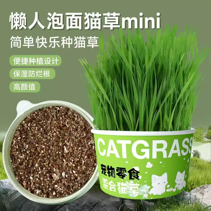 Lazy Instant Noodles Cat Grass Potted Cat Grass Seeds Soilless Hydroponic Natural Planting Hair Grinding Teeth Cleaning Cat Snacks