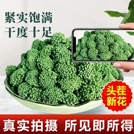 其他药食同源;泡澡用品;足浴液