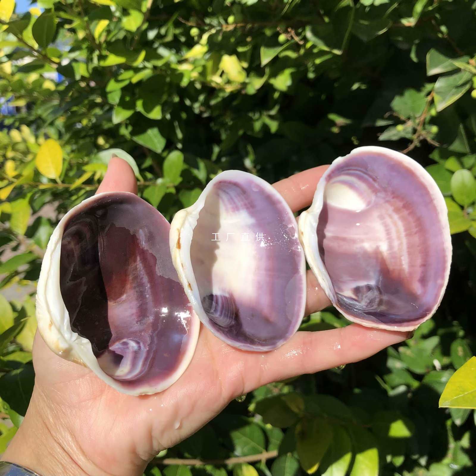 Organic purple sample
