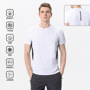 Dijia Summer Sports T-Shirt Men's Quick-Drying Summer Running Short-Sleeved Breathable Training Classy Contrasting Color Fitness and Leisure