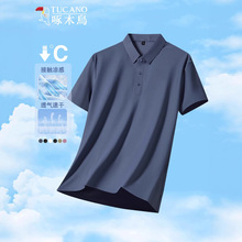��ľ��������ļ�2025�¿��˿�ٸ��˶����������챡����POLO��