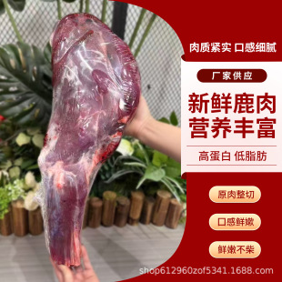 ɢ�B¹�������r¹���������l���b�Y��¹����һ���l؛33һ��