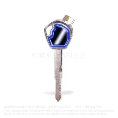 Wuyang motorcycle key embryo/handle: Motorcycle Key - left-blue