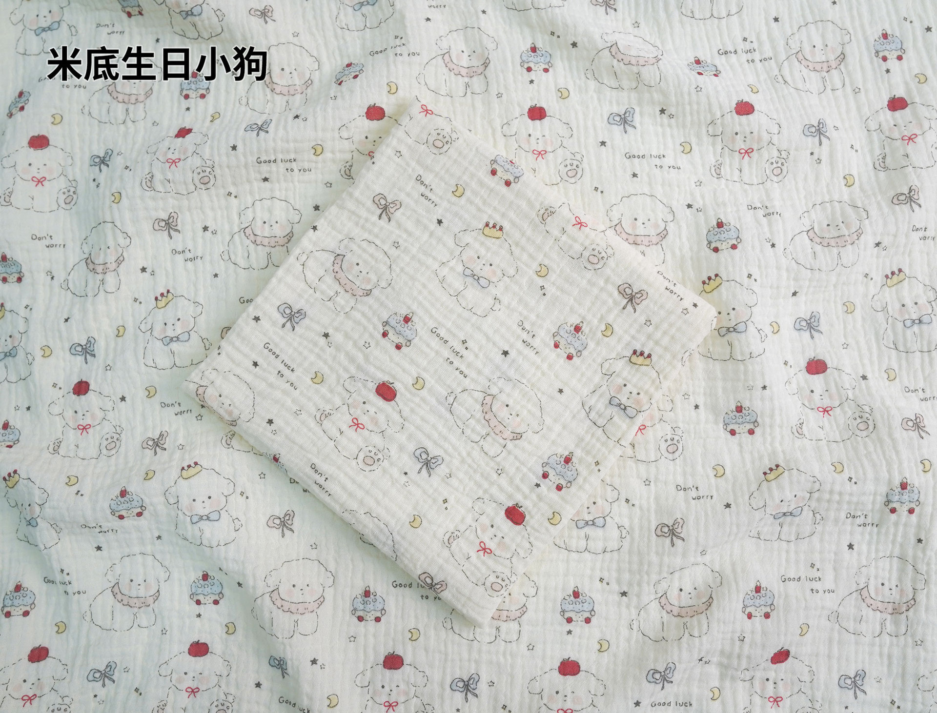 미디 생일 강아지 - 신상