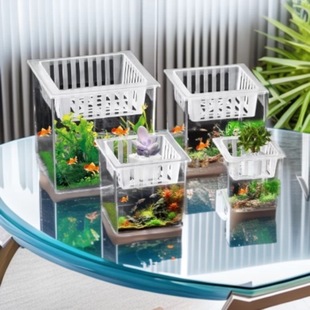 Living room desktop bucket fish tank square plant flower arrangement hydroponic decorative bottle ornamental ecological bottle micro landscape transparent fish tank