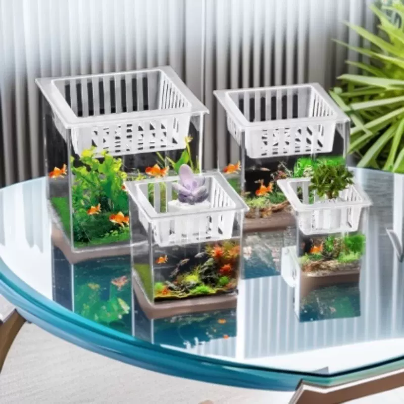 客厅桌面斗鱼缸方形植物插花水培装饰瓶观赏生态瓶微景观透明鱼缸