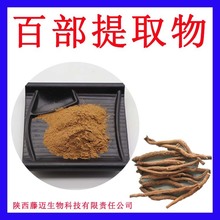 百部提取物10:1欢迎选购百部碱无中间商百部粉