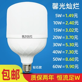 LED球泡灯;其他LED光源;灯头、灯座