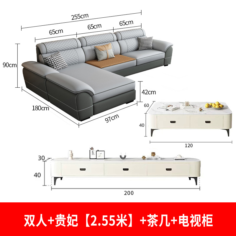 더블 침대 + 카우치 소파 (1인용) + 테이블 + TV 장식장