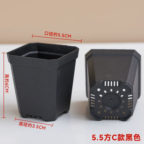[5.5C款黑色]