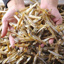 北海小鱼干500g风干小鱼仔银鱼干海燕鱼咸鱼海鲜干货干鱼下酒特产