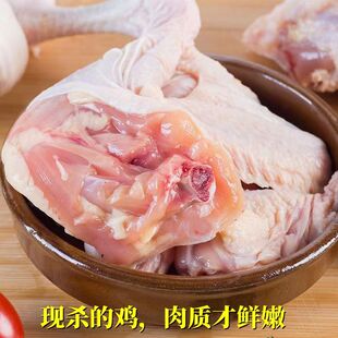 ��S�F�����r���S�u���r�����uͯ���u���u�ߵ��u��P�u�����u���l